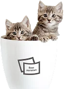 картинка Посуда