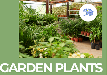 Кейс для питомника растений